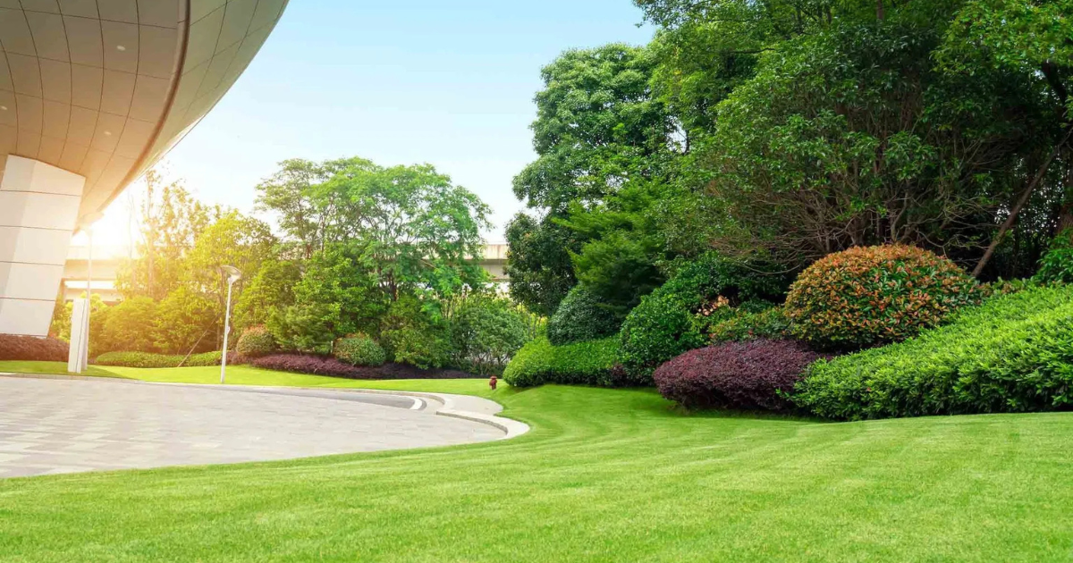 Why Your Business Needs Our Professional Commercial Landscaping Services