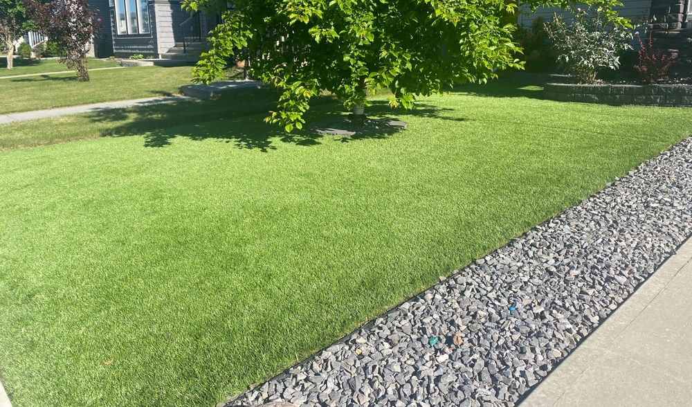 Quick Guide to Cleaning Artificial Turf