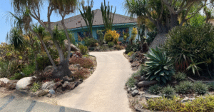 Front Yard in San Diego